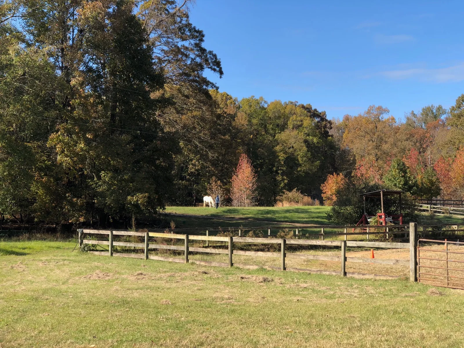 Eads Tennessee acreage and horse property